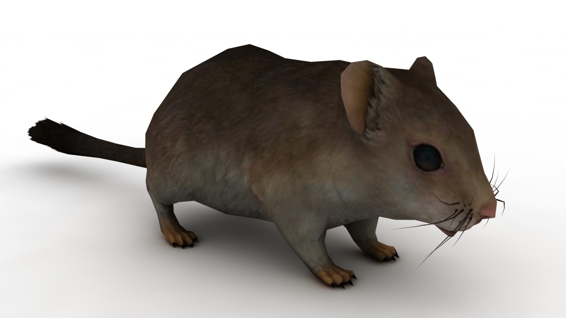 Cartoon Mouse model https://p.turbosquid.com/ts-thumb/Bv/r6z80V/un/dfs0016/jpg/1742979905/1920x1080/fit_q87/c273141560e21d9884cdabcf402b09cd3b1532dc/dfs0016.jpg