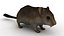Cartoon Mouse