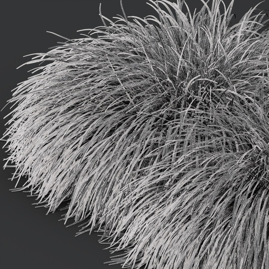 3D HQ Plants Carex Elata Aurea Grass Version4 https://p.turbosquid.com/ts-thumb/Bv/scN4Th/ky/z04/png/1694628862/1920x1080/fit_q87/d12bc1a0f65795635e4cdc5cae0a1e7b48fac2bf/z04.jpg