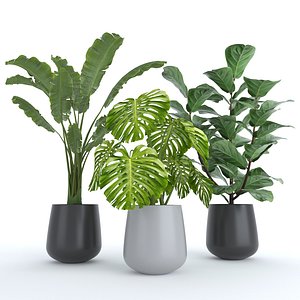 3D set plants