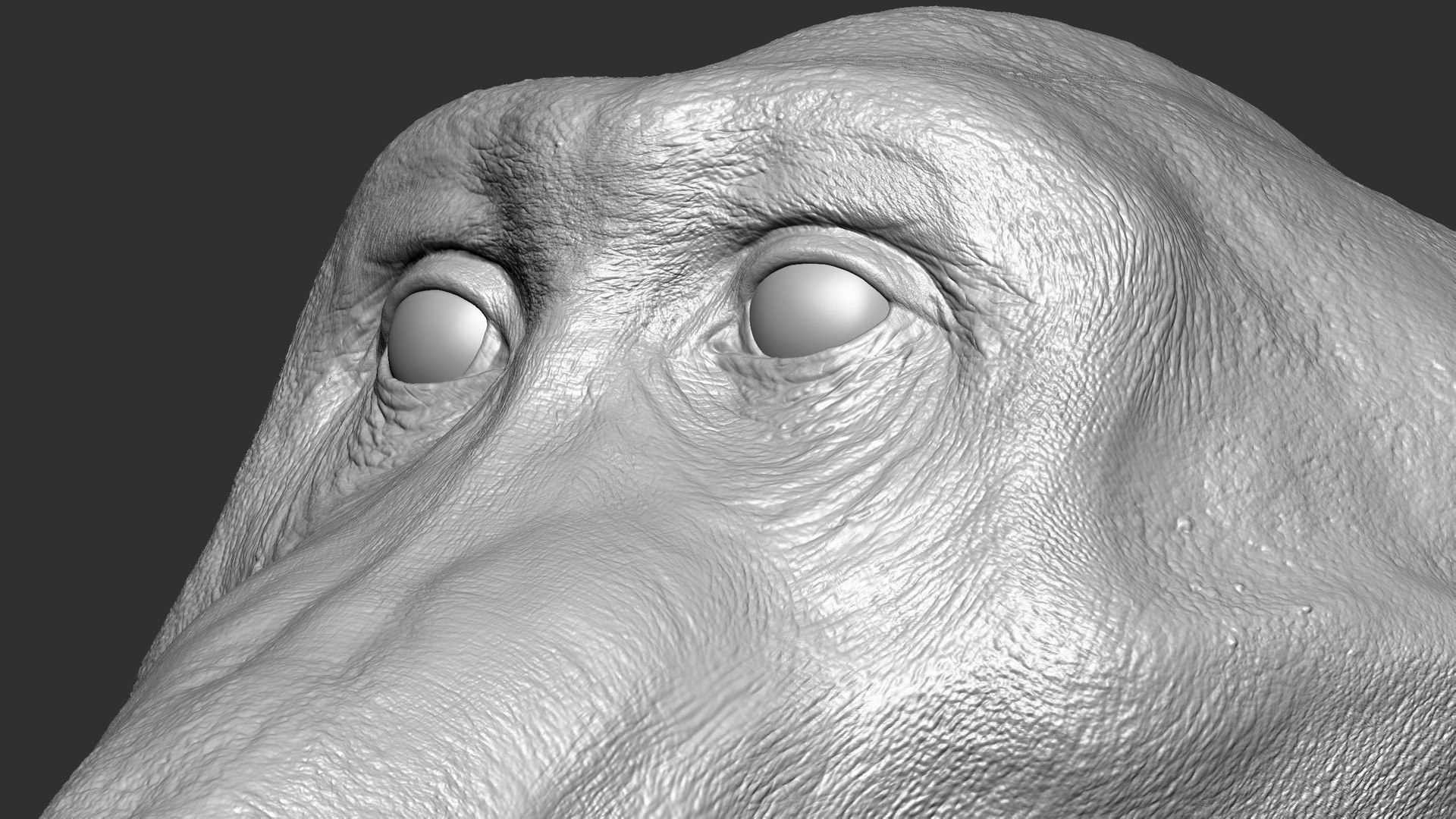 Test2 3d Model Turbosquid 1888747 Test2 3d Model Turbosquid 1888747