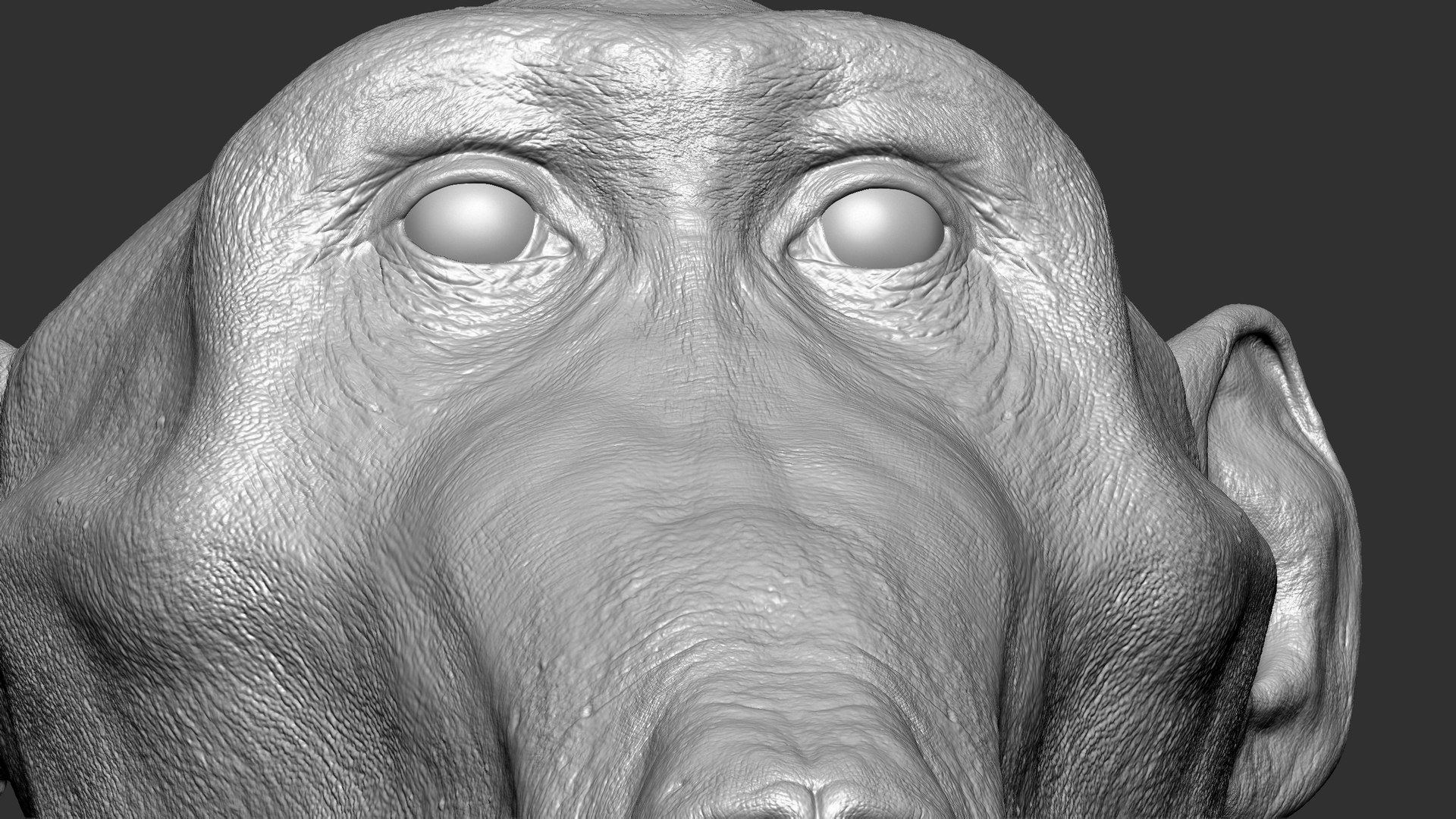 Test2 3d Model Turbosquid 1888747 Test2 3d Model Turbosquid 1888747