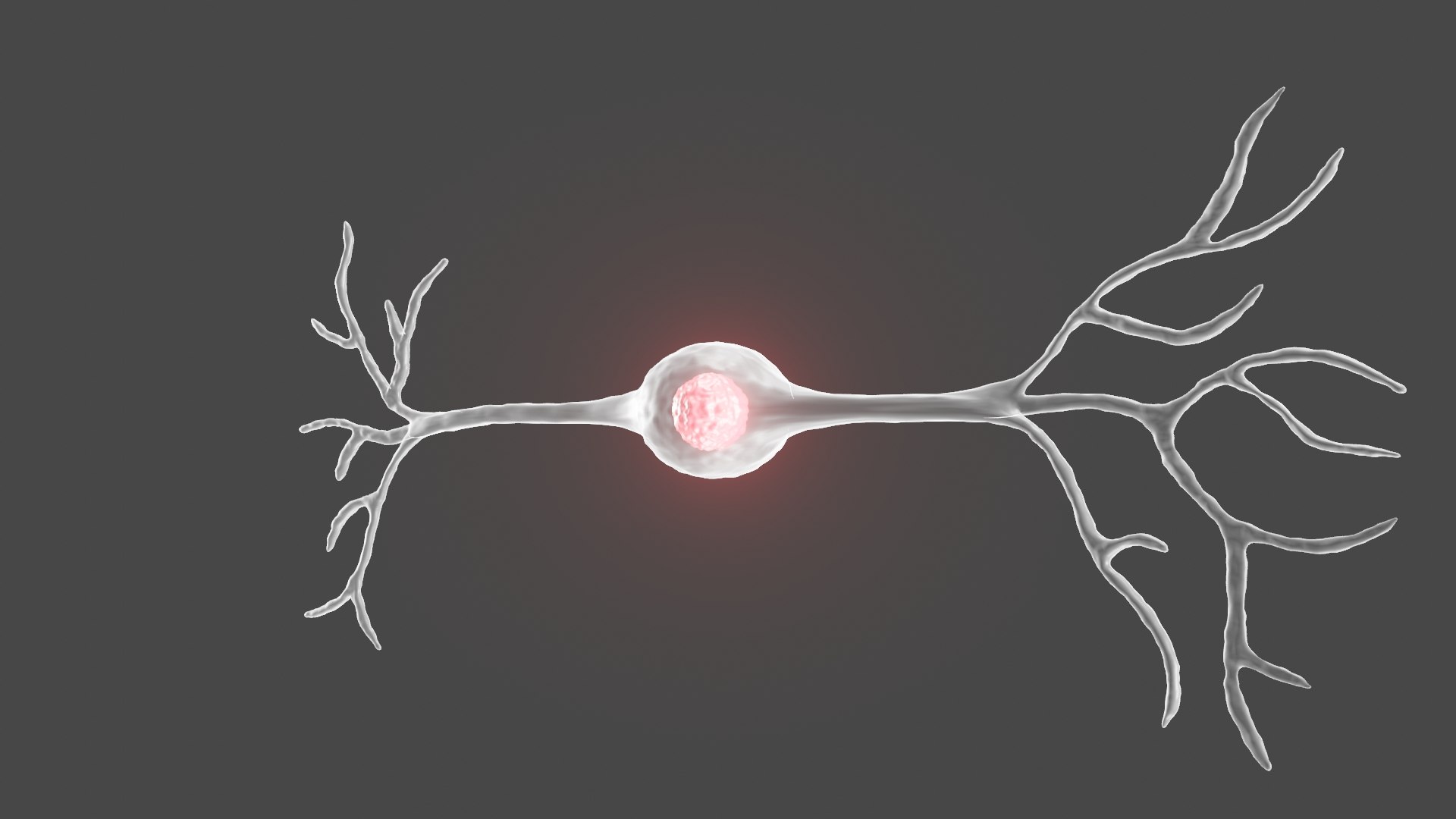 Bipolar Neuron Model - TurboSquid 2052416
