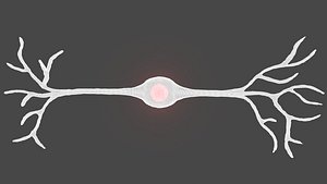 Bipolar Neuron model