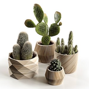 3D cactus nature