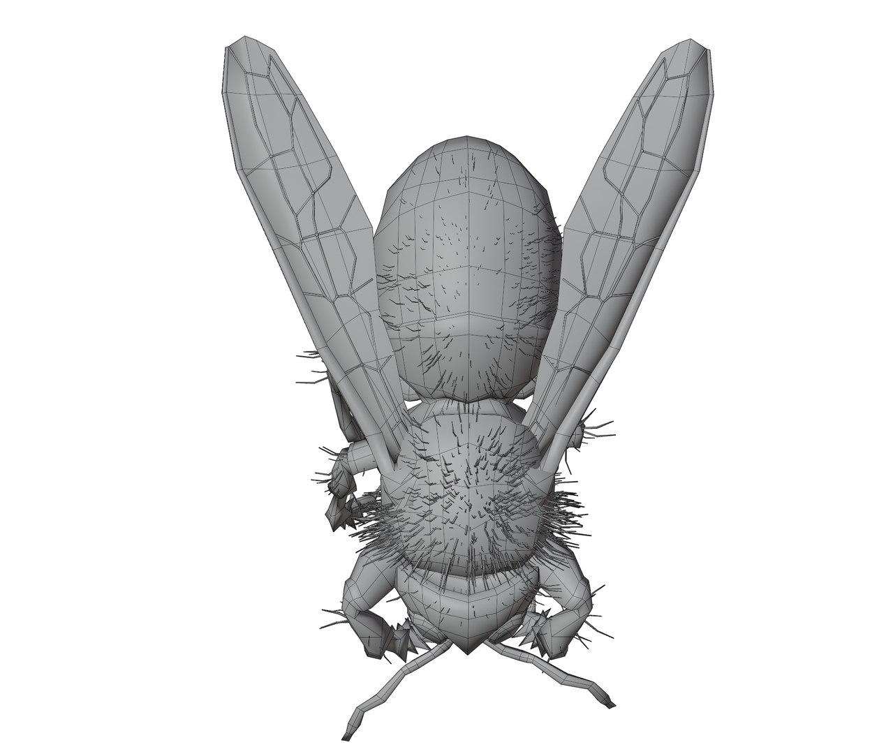 Honey Bee 3D - TurboSquid 2082312