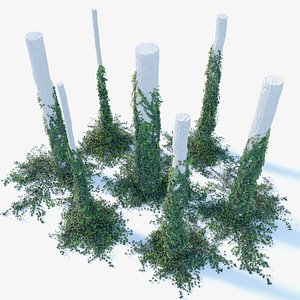 3D Ivy on trunk model