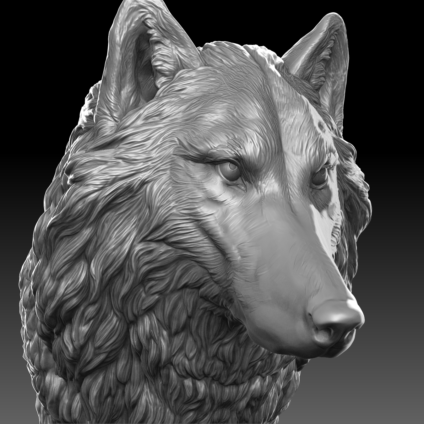 Wolf Head 3d Turbosquid 1285400