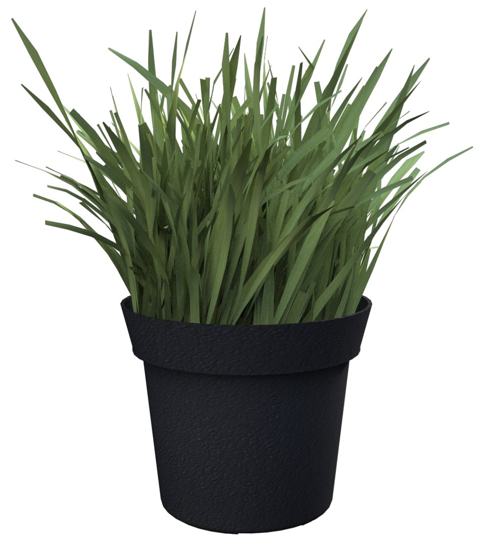 3d model grass plant https://p.turbosquid.com/ts-thumb/Bw/ZlZeJm/WMN5Dsxm/render1/jpg/1420401777/1920x1080/fit_q87/7214a229642d3d5d2da3b94179bee913966a7f5d/render1.jpg