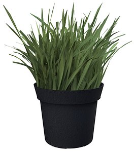 Grass, Artificial potted plant