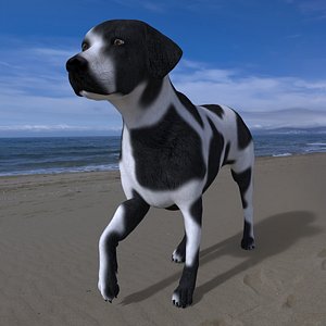 LAB-038 Dog Walking model