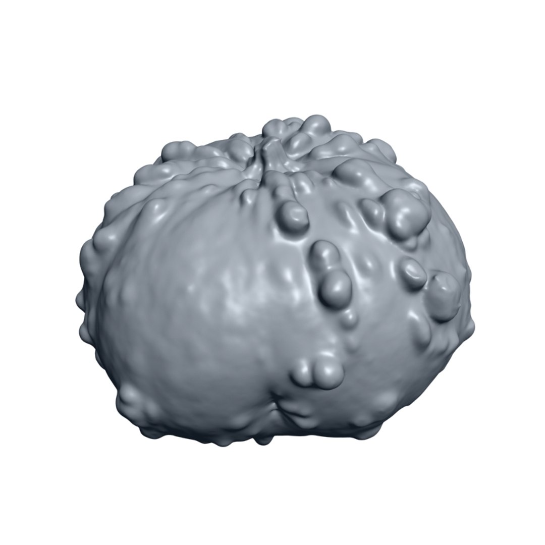 Pumpkin Scan Obj
