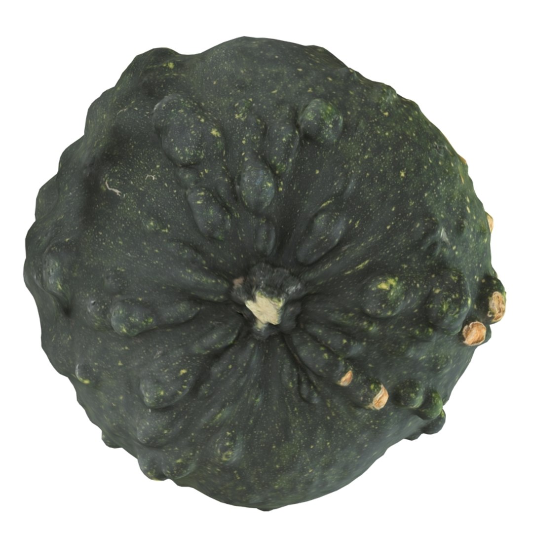 Pumpkin Scan Obj