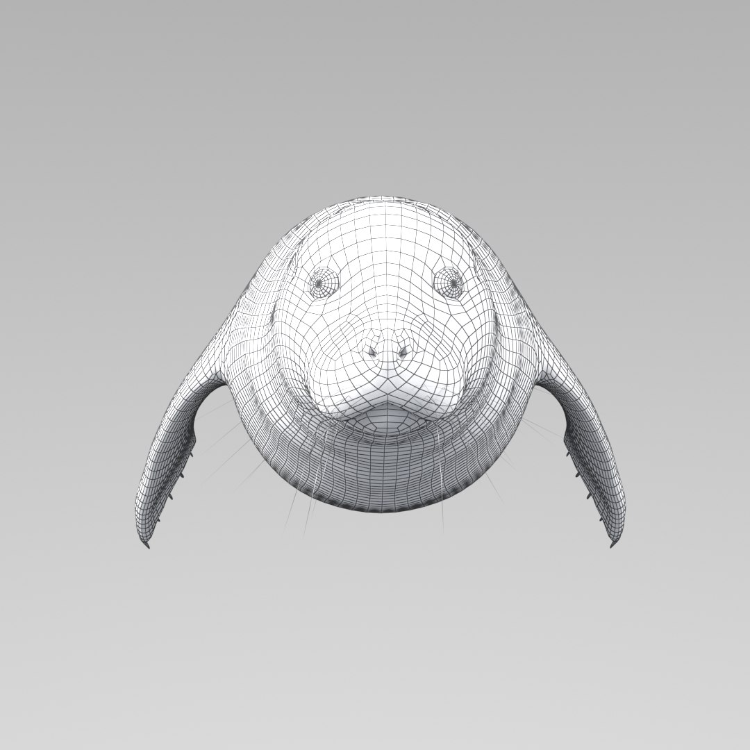 Seal Animation Rigging 3D Model - TurboSquid 1543688