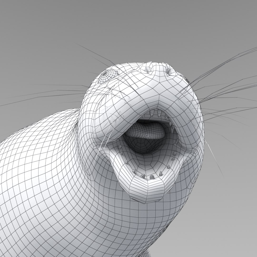 Seal Animation Rigging 3D Model - TurboSquid 1543688