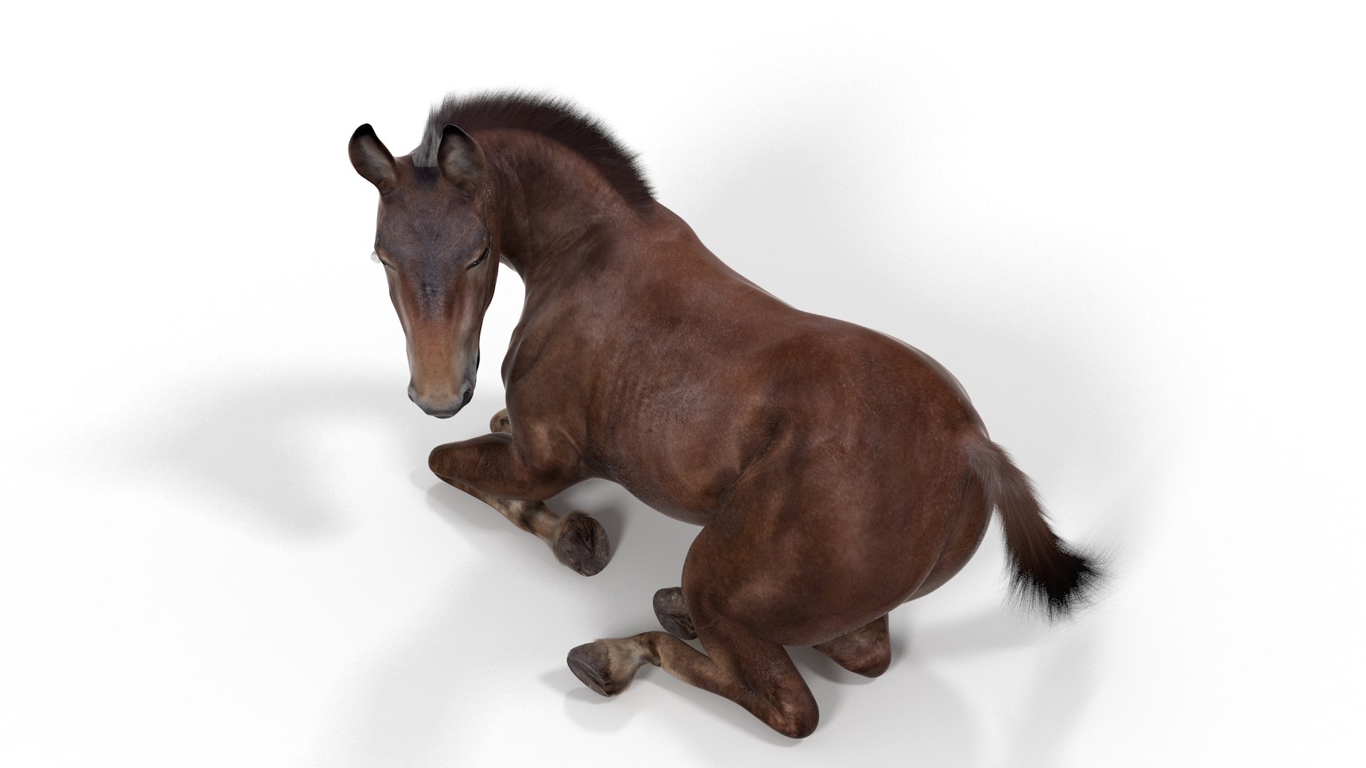 Lying Mule Dark Fur 3D Model - TurboSquid 2280758