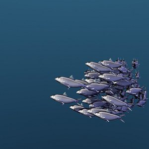 3D school sardine swimming fishes