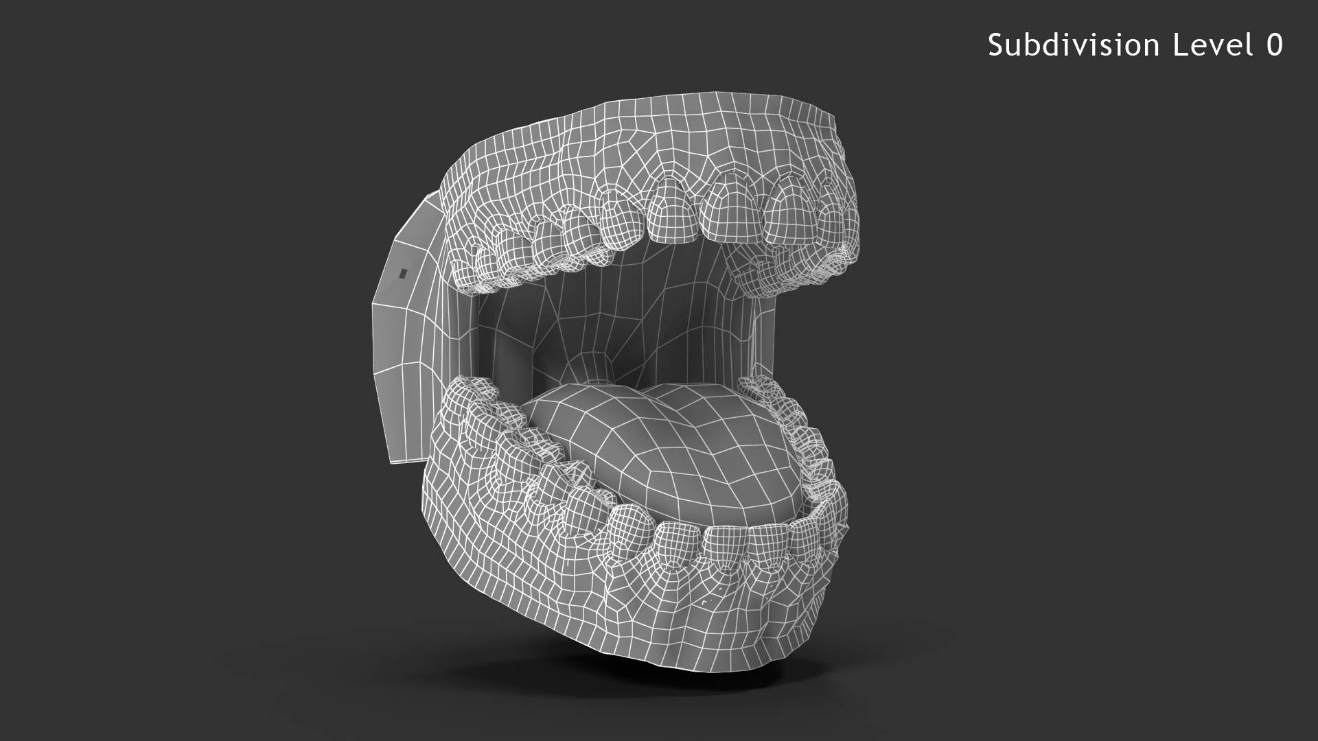 牙齒和牙齦3d模型