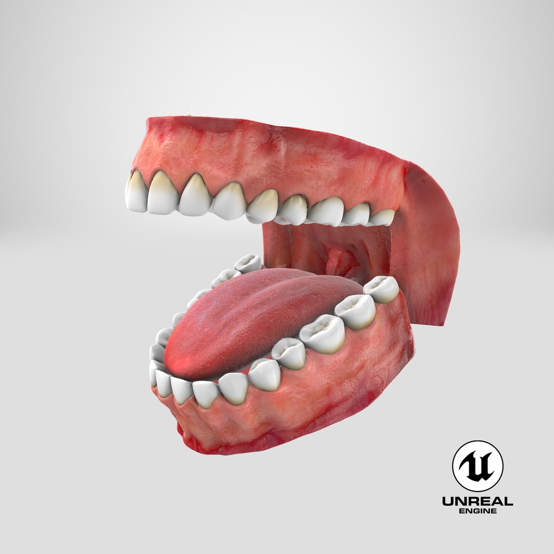 3d teeth gums model https://p.turbosquid.com/ts-thumb/Bx/0cnDKb/Pv/stemcell_unreal_render/png/1610416018/1920x1080/fit_q87/9dbb14ab38c6e6d1960fcd7c6a4b4d28c8001c77/stemcell_unreal_render.jpg
