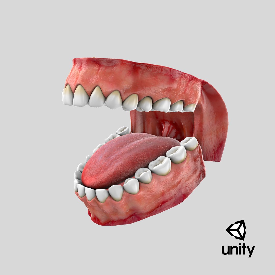3d teeth gums model https://p.turbosquid.com/ts-thumb/Bx/0cnDKb/h7/stemcell_unity_render/png/1610416017/1920x1080/fit_q87/5d8d2e8628c4d6770a61ac0bac21db495c69793d/stemcell_unity_render.jpg
