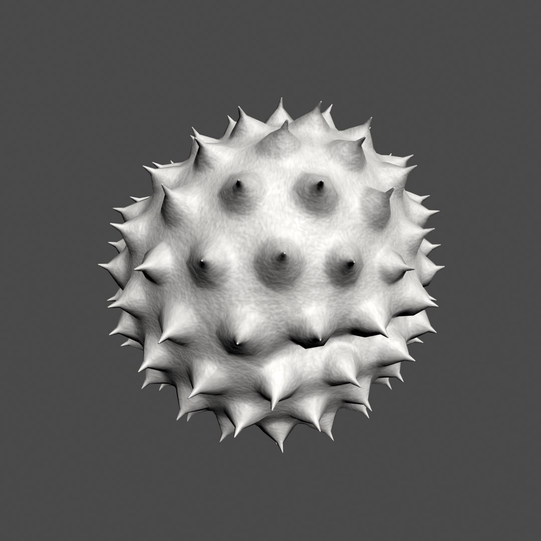 ragweed pollen 3D https://p.turbosquid.com/ts-thumb/Bx/GNLAal/F09XAhci/03/png/1514115270/1920x1080/fit_q87/2990b2745cefd2fa466ad54a0c4f7390f1ee95cd/03.jpg