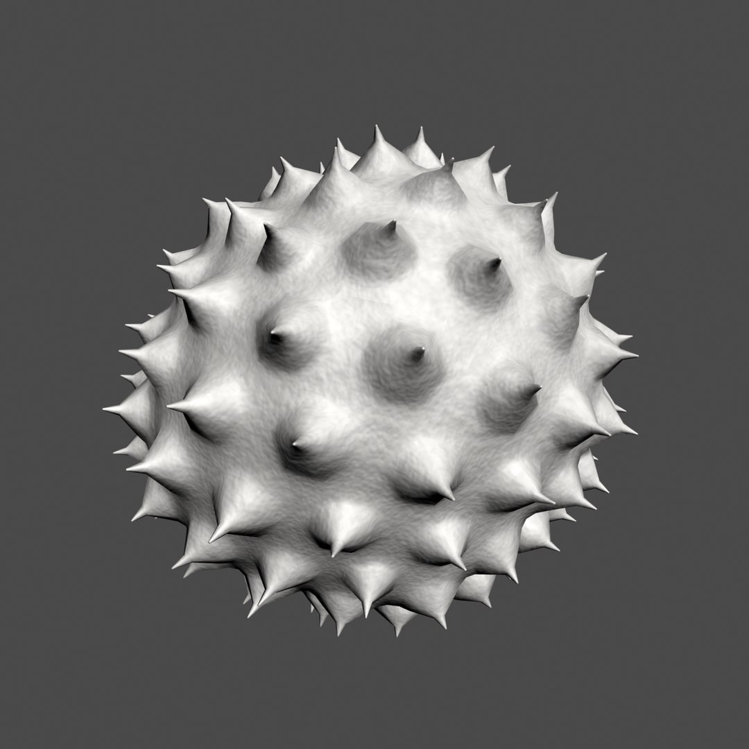 ragweed pollen 3D https://p.turbosquid.com/ts-thumb/Bx/GNLAal/bUcktQpA/04/png/1514115292/1920x1080/fit_q87/c748aa5a0a59a259e62f9f2382e1a51785eb5ac9/04.jpg
