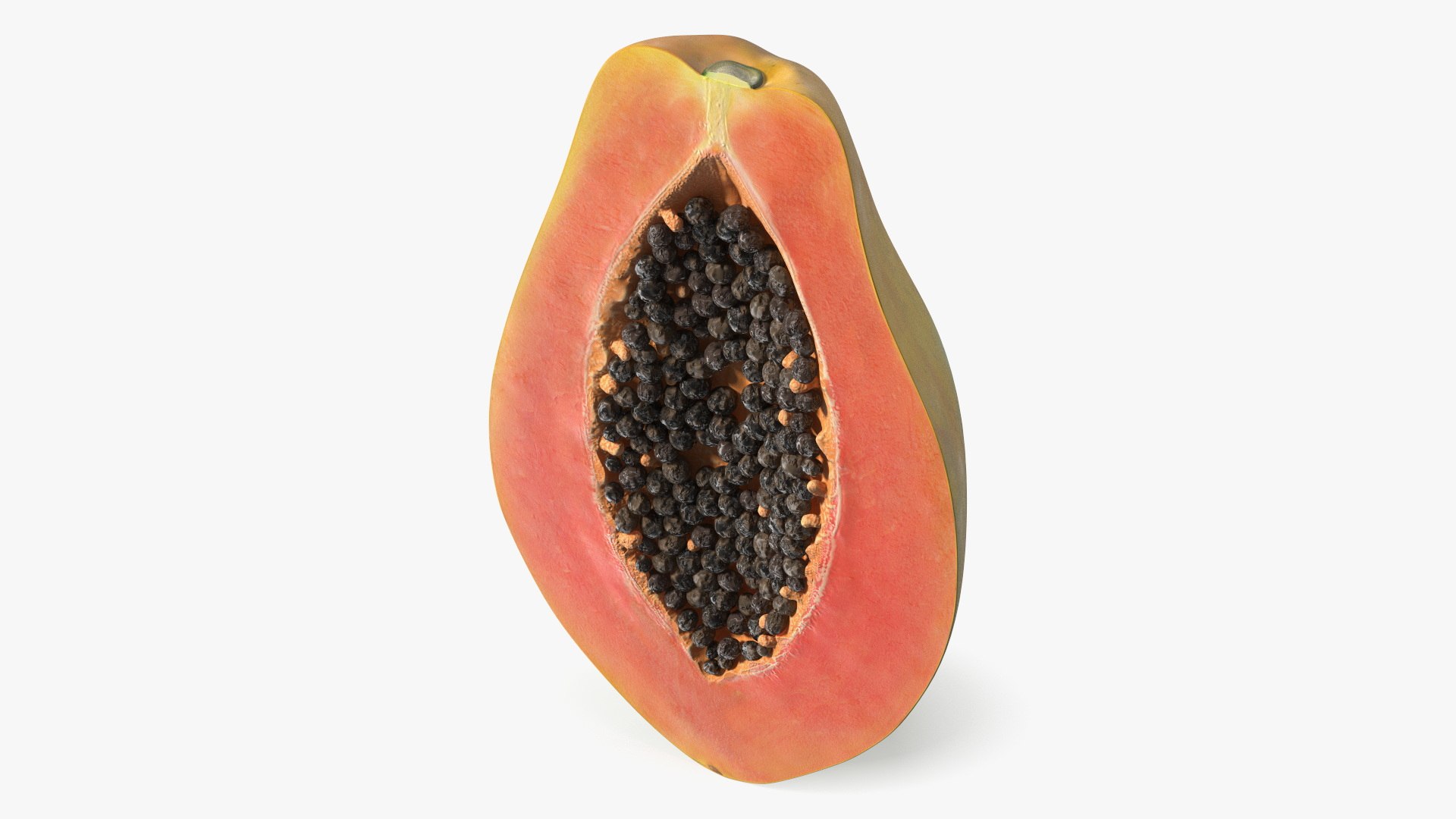 Papaya Half Cut Yellow 3D model preview