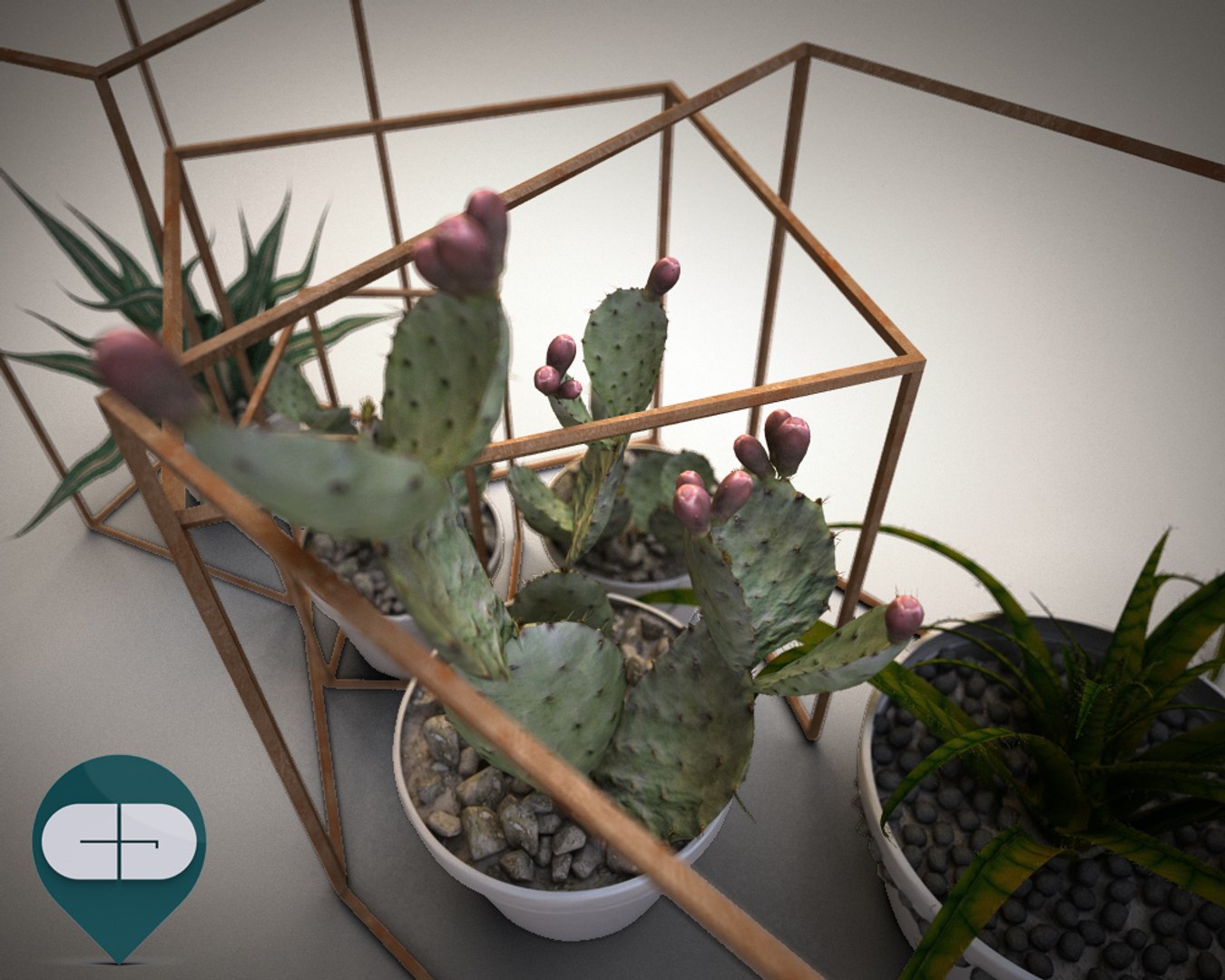 3d object interior set model https://p.turbosquid.com/ts-thumb/Bx/Zx3nuI/7qJApJSx/vistavasetticactus06/jpg/1468005621/1920x1080/fit_q87/7776aa540496f23f96e4c76505a40ec3da339f39/vistavasetticactus06.jpg