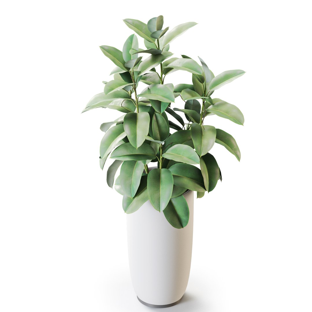 Plant 1259 3D model https://p.turbosquid.com/ts-thumb/Bx/bAdka5/6b/plant_1259_03/jpg/1752477913/1920x1080/fit_q87/39fe054e378fcd284f08310845a24a3d6fc5a8ef/plant_1259_03.jpg