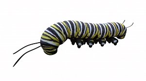 caterpillar