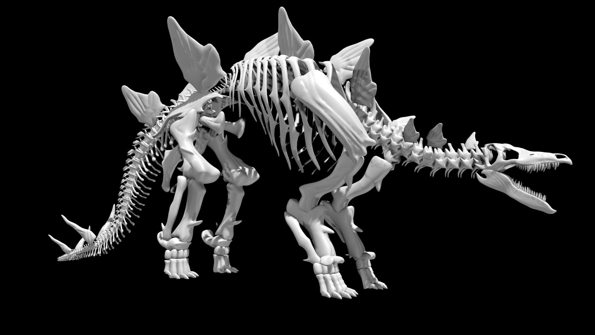 Stegosaurus Skeleton 3D Model - TurboSquid 1885816