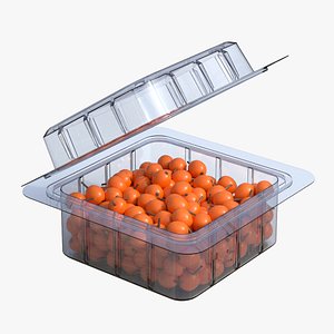 3D Fruit Box Plastic Transparent Hippophae model