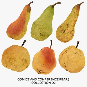 Comice and Conference Pears Collection 02 - 6 models RAW Scans 3D model
