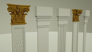 5 column model