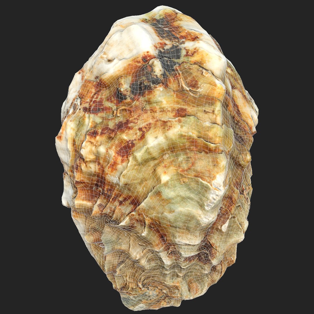 Oyster collections set 3D model https://p.turbosquid.com/ts-thumb/By/6Mu1Pq/3e/wr/jpg/1680107377/1920x1080/fit_q87/733ca0986e2430bc821d3d7ee9441a22e251d196/wr.jpg