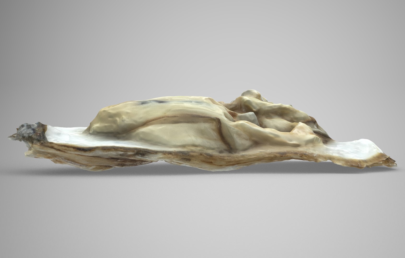 Oyster collections set 3D model https://p.turbosquid.com/ts-thumb/By/6Mu1Pq/Bc/oyster_open.8/jpg/1680107507/1920x1080/fit_q87/7d6ba0e7d45a90d1bd796fb554c02d413e13c45f/oyster_open.8.jpg
