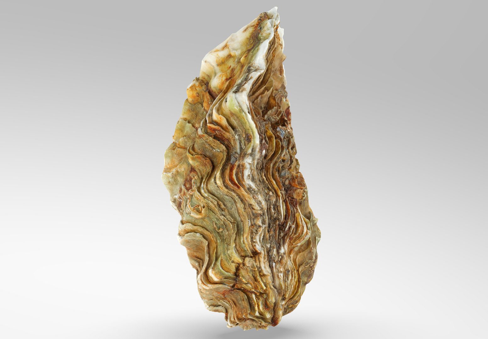 Oyster collections set 3D model https://p.turbosquid.com/ts-thumb/By/6Mu1Pq/Rp/1.236790/jpg/1680107367/1920x1080/fit_q87/e4376d94c6da361cb261a041fae0ec05e8af57d4/1.236790.jpg