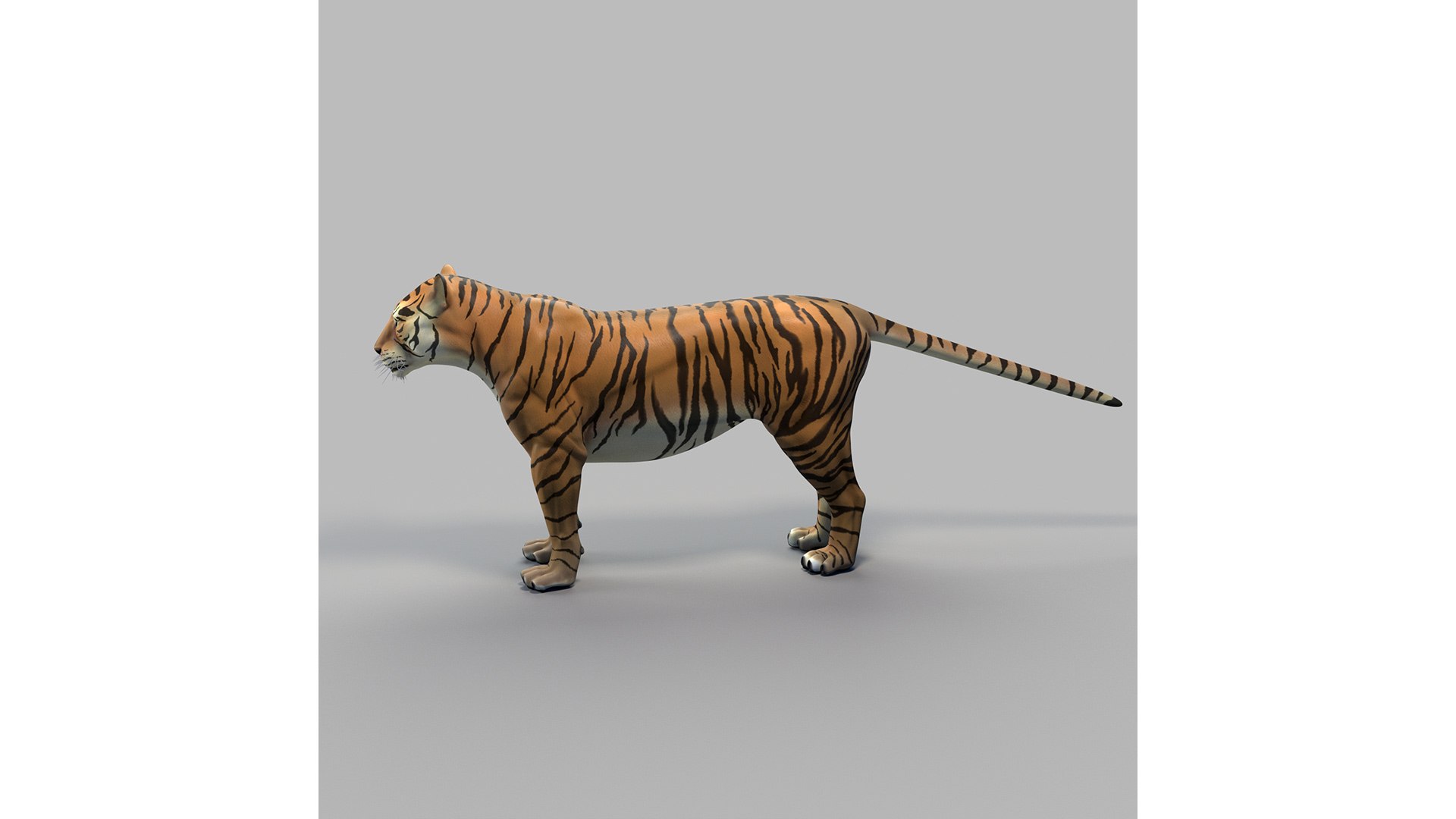 Tigre de bengala Modelo 3D - TurboSquid 1616218