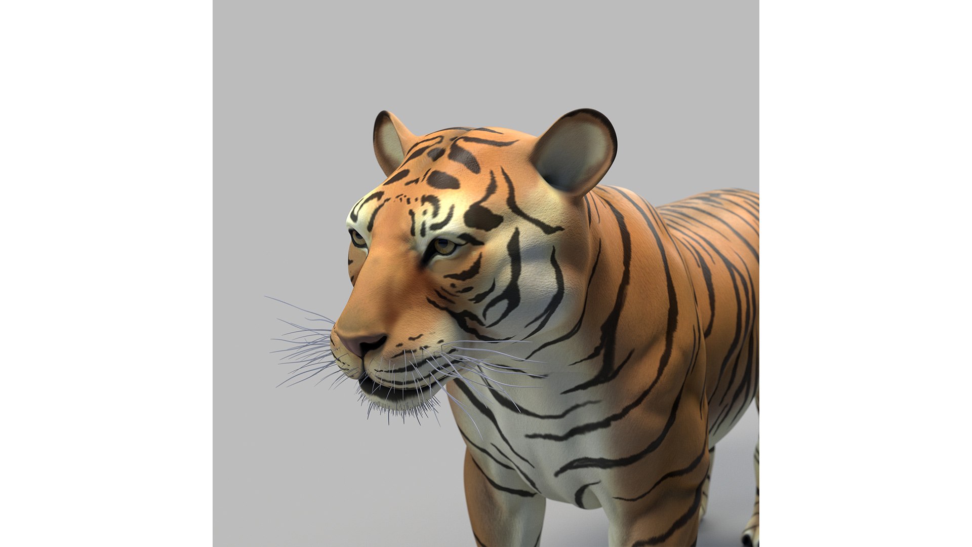 modèle 3D de Tigre du Bengale (FOURRURE) (ANIMÉ) - TurboSquid 1481168