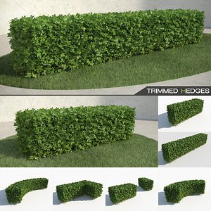 Trimmed Hedges Collection