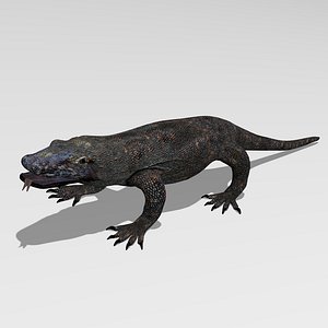 komodo dragon 3d obj