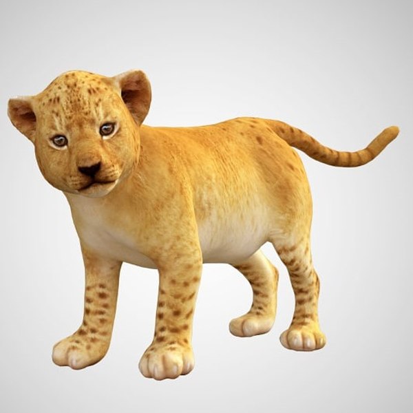 baby lion tiger 3D