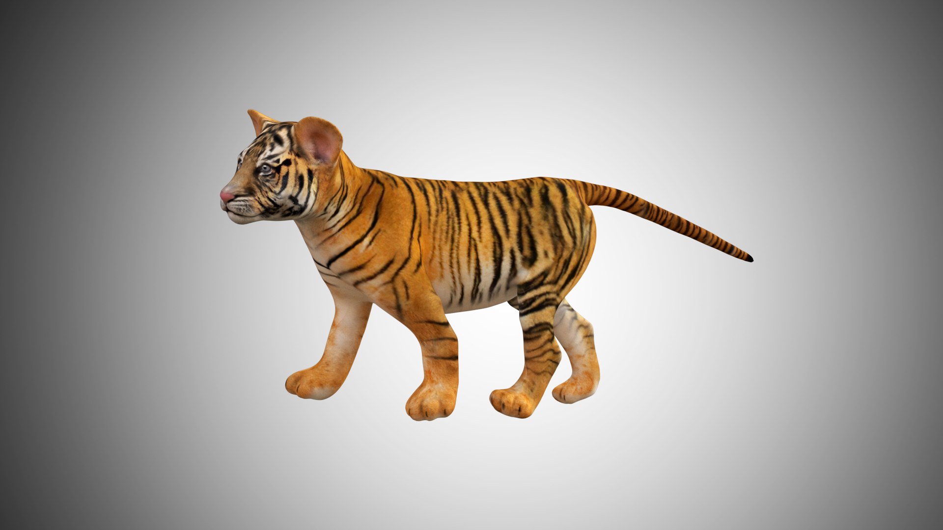 Bengal Tiger - 3D model by woo.art.77 (@woo.art.77) [cf88c38]