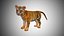 baby lion tiger 3D