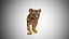 baby lion tiger 3D