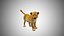 baby lion tiger 3D