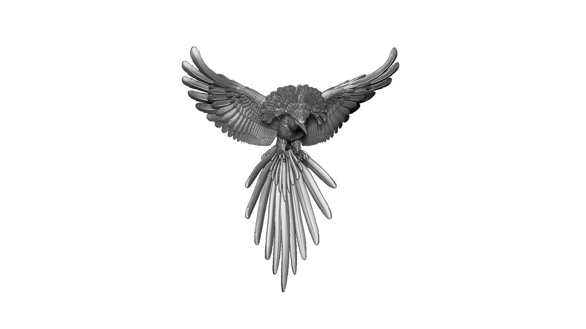 3D Bird Model - TurboSquid 2407700