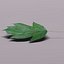 Wild service tree leaf (Sorbus torminalis)