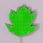 Wild service tree leaf (Sorbus torminalis)