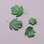 Wild service tree leaf (Sorbus torminalis)
